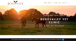 Desktop Screenshot of borovalleyvetclinic.ie